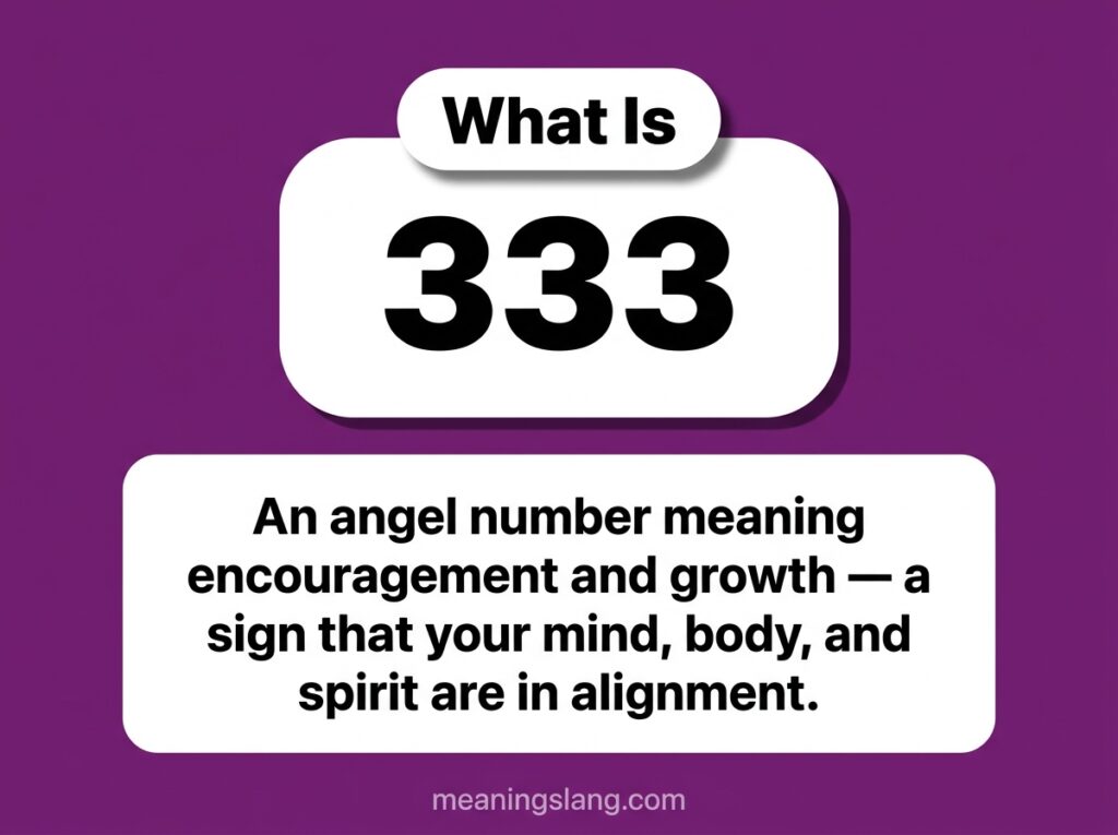 333 Meaning