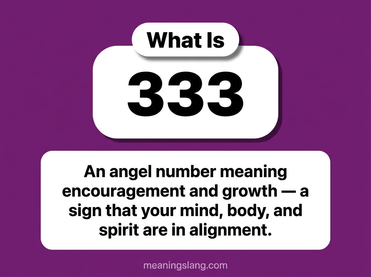 333 Meaning