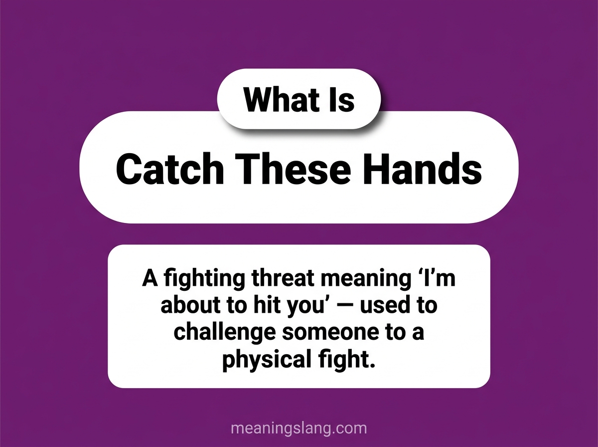 Catch These Hands Meaning