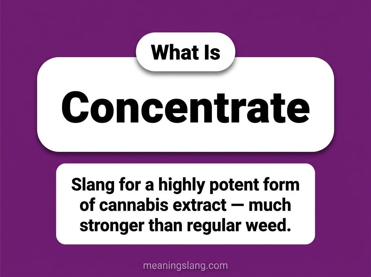 Concentrate Meaning