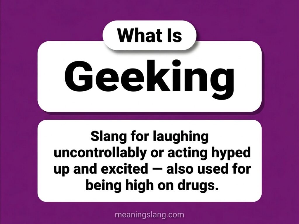Geeking Meaning