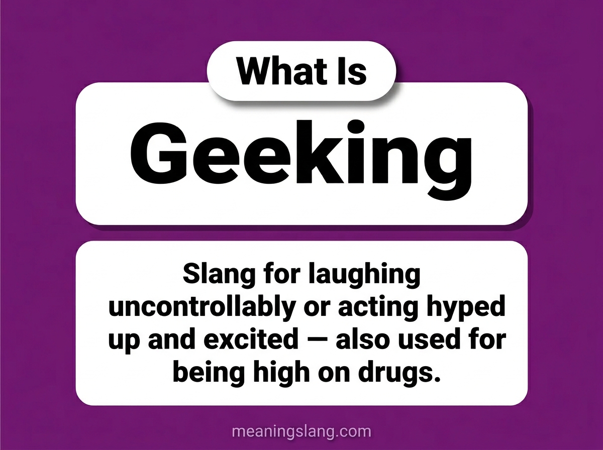 Geeking Meaning