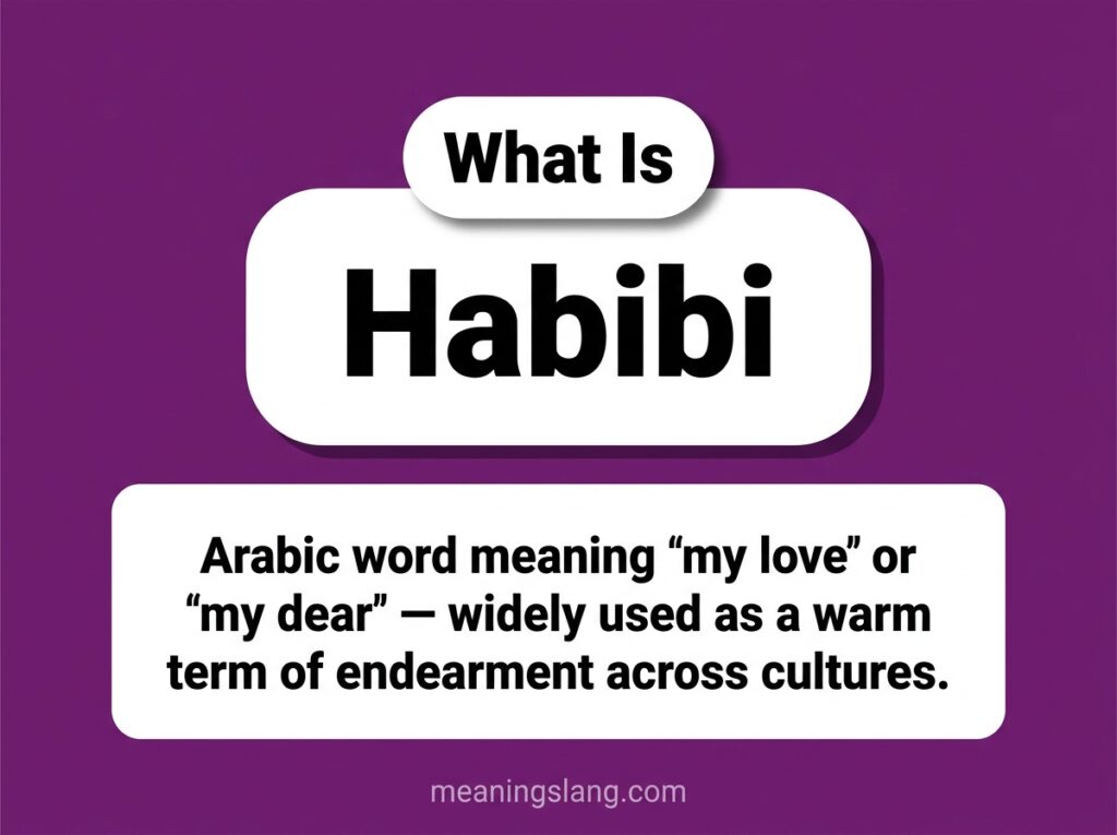 Habibi Meaning