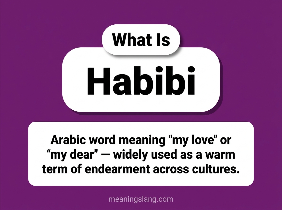 Habibi Meaning