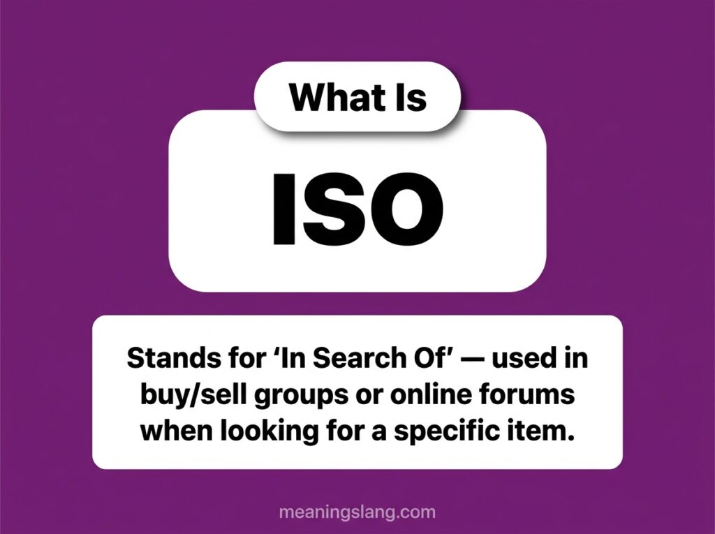 ISO Meaning
