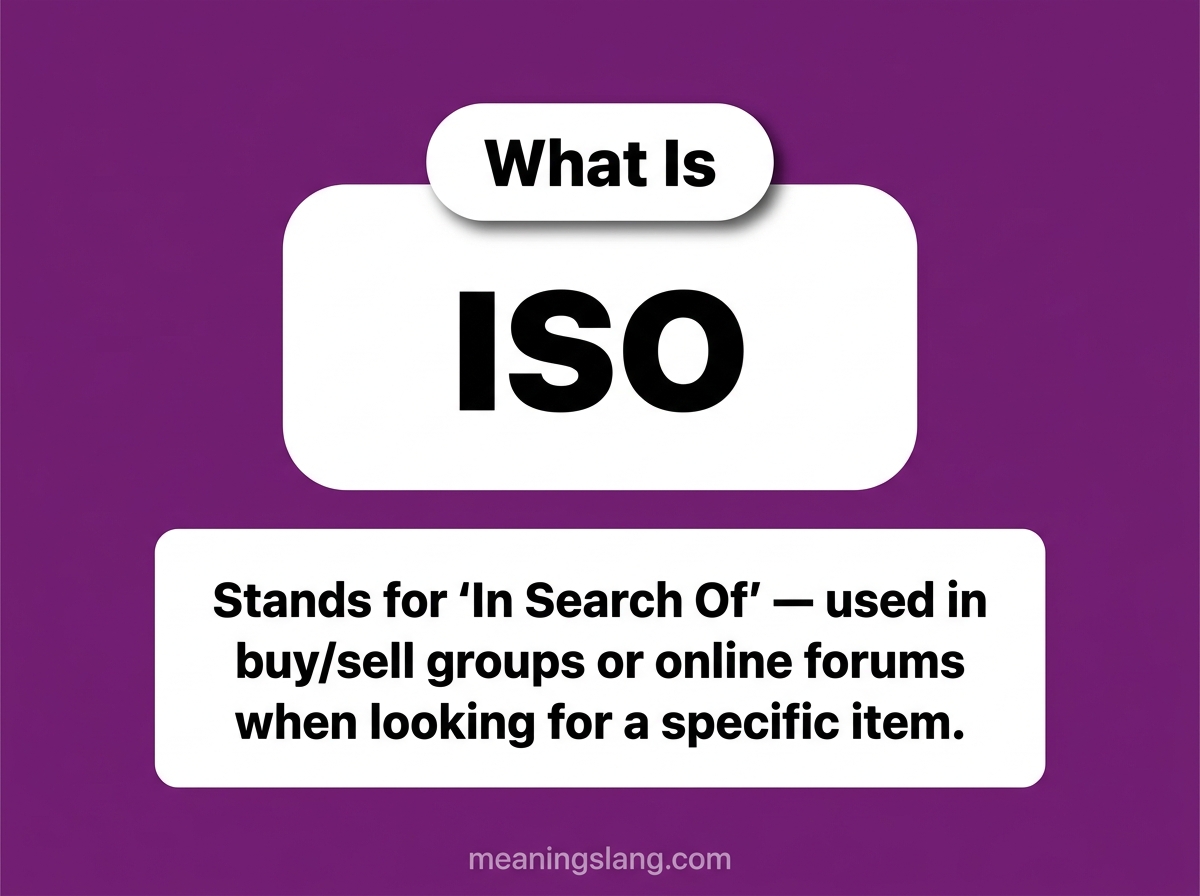 ISO Meaning