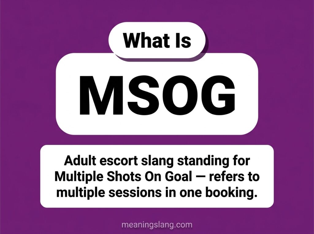 MSOG Meaning