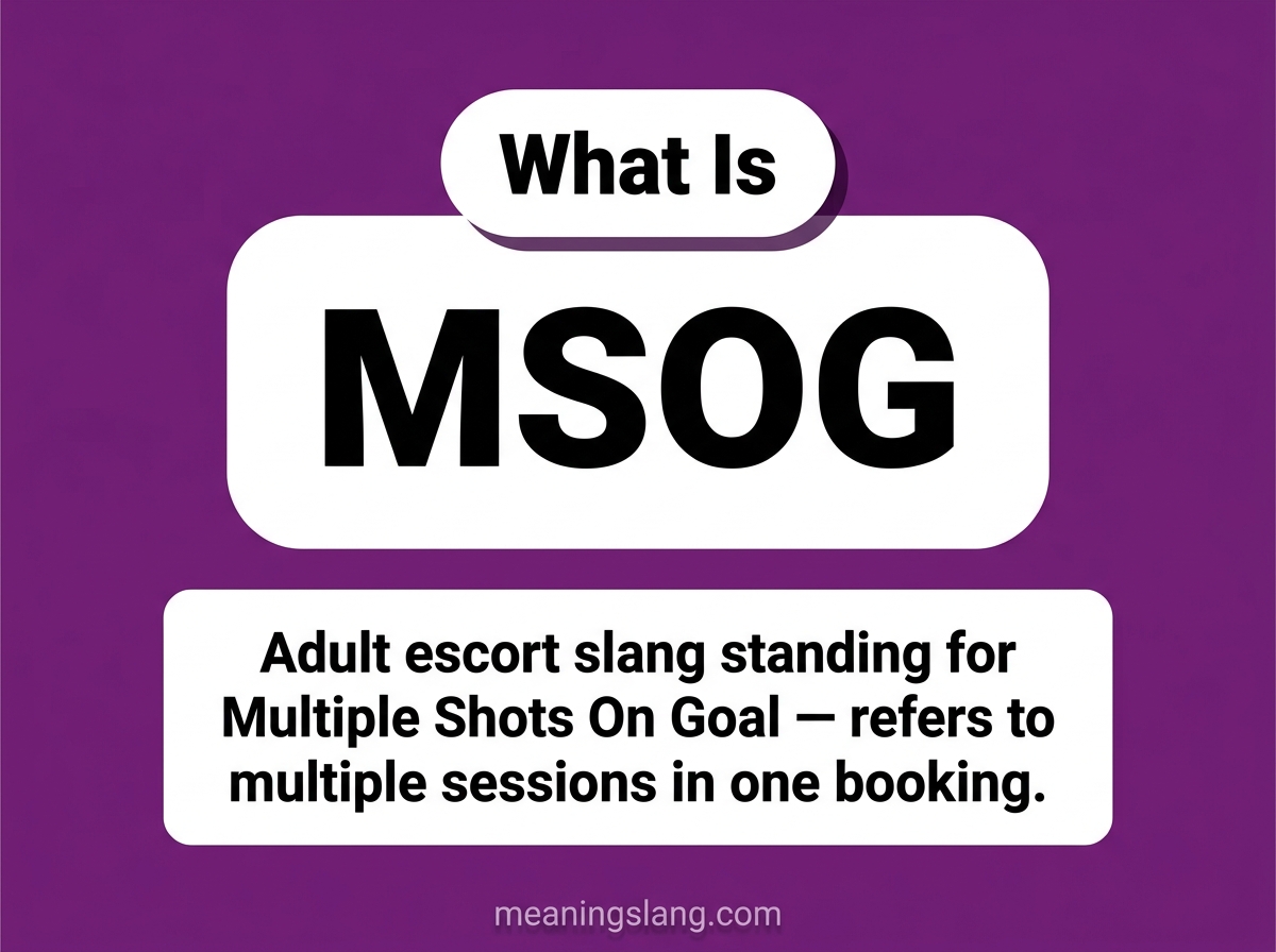 MSOG Meaning