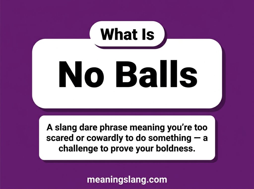 No Balls Meaning