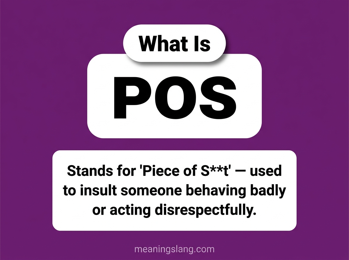 POS Meaning