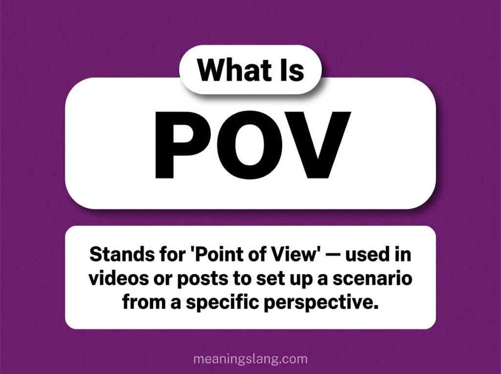 POV Meaning