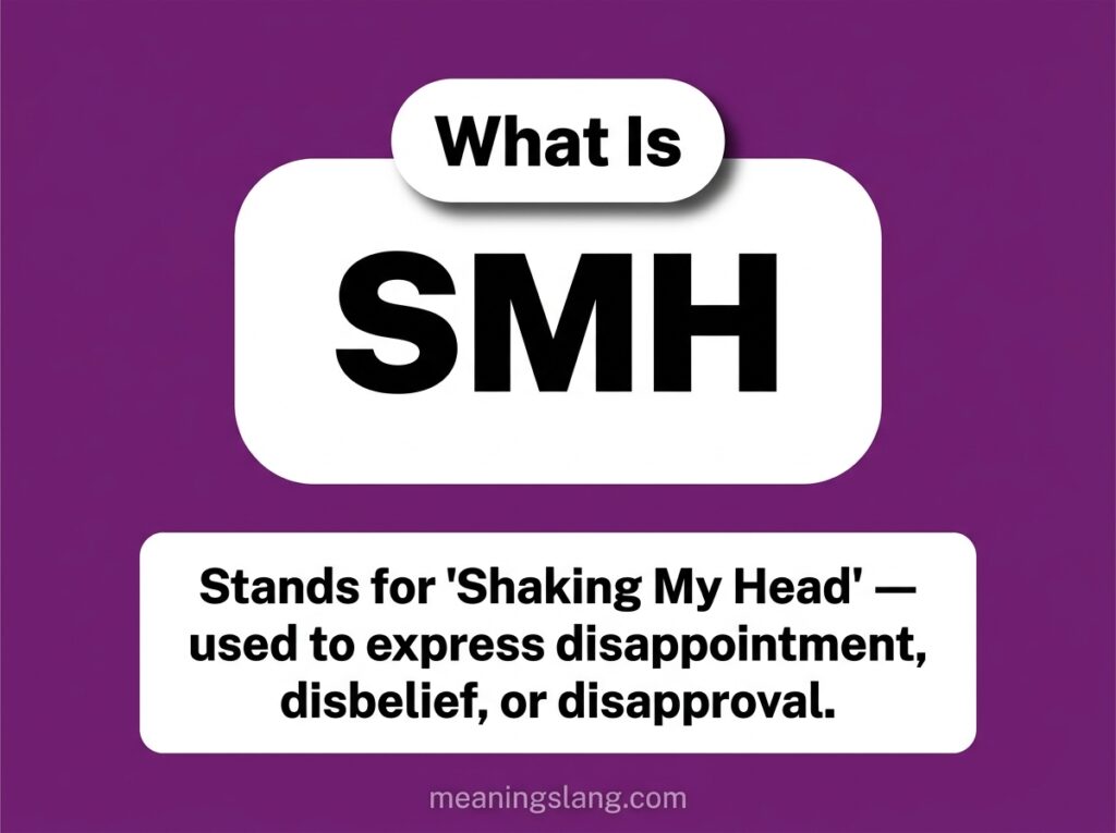 SMH Meaning