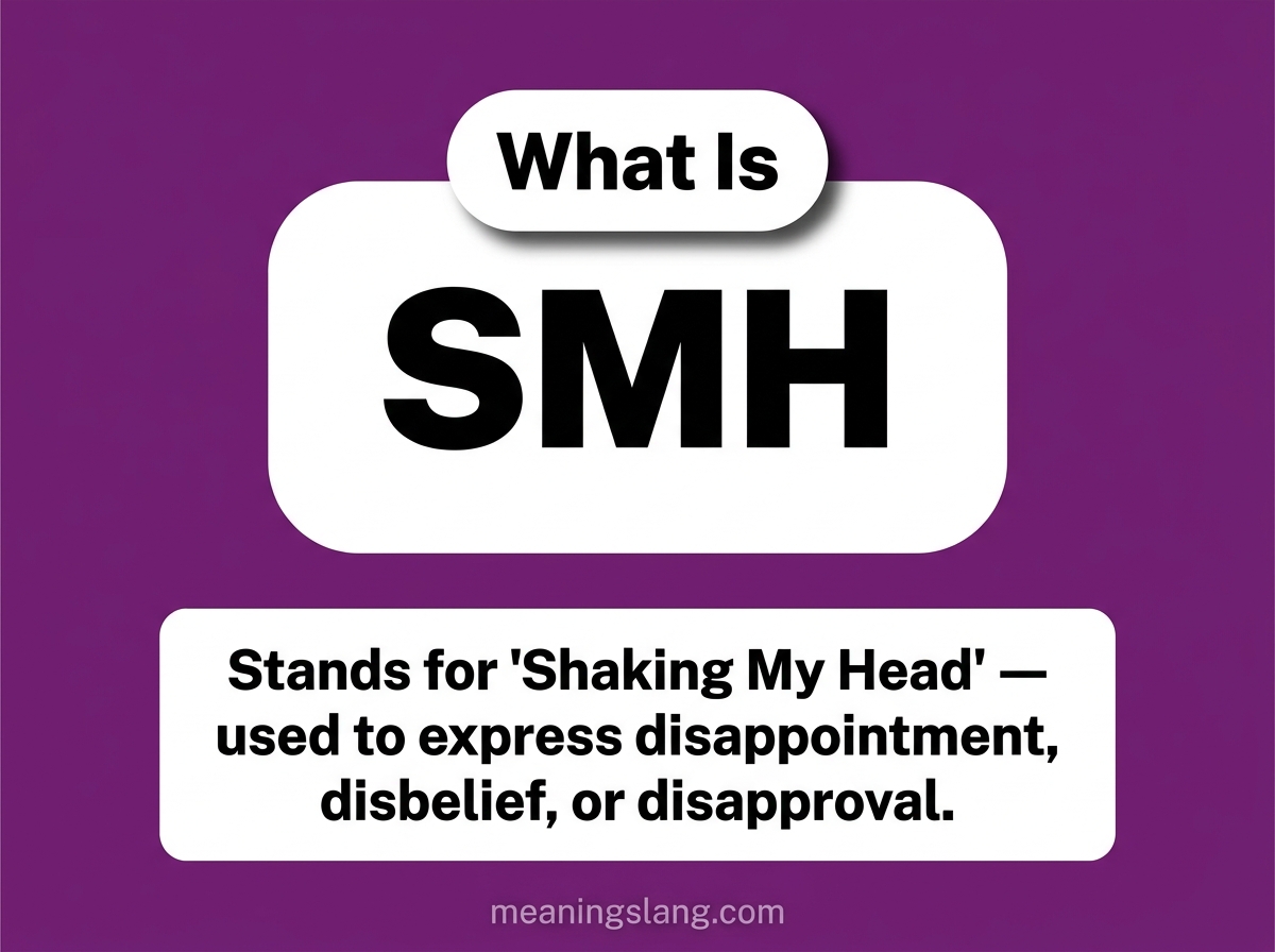 SMH Meaning
