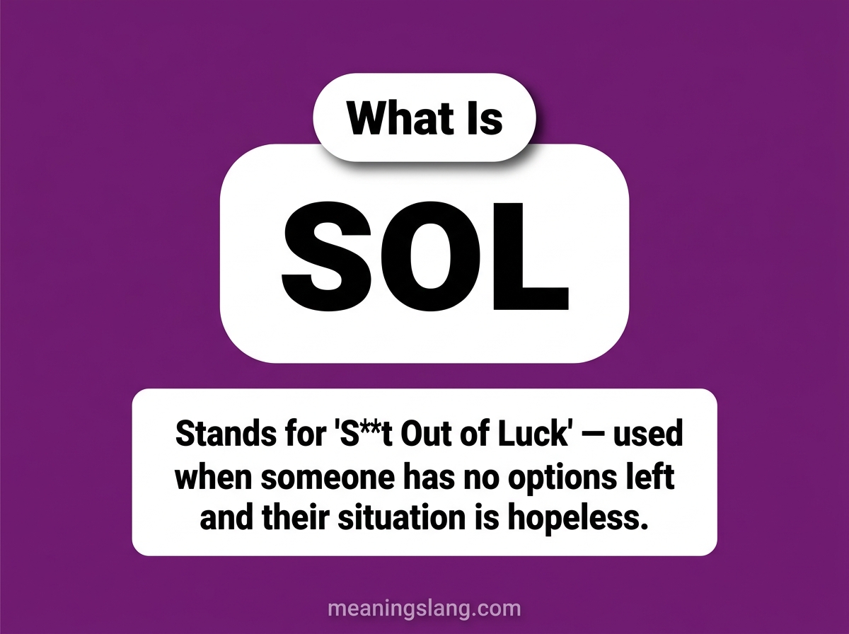 SOL Meaning