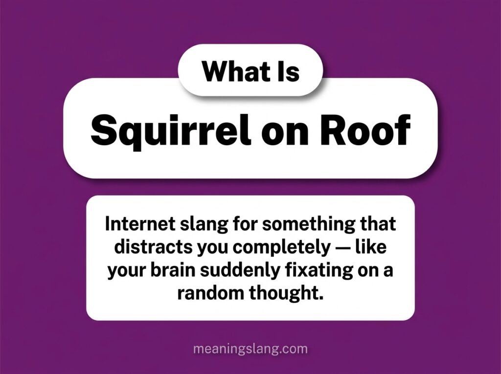 Squirrel on Roof Meaning