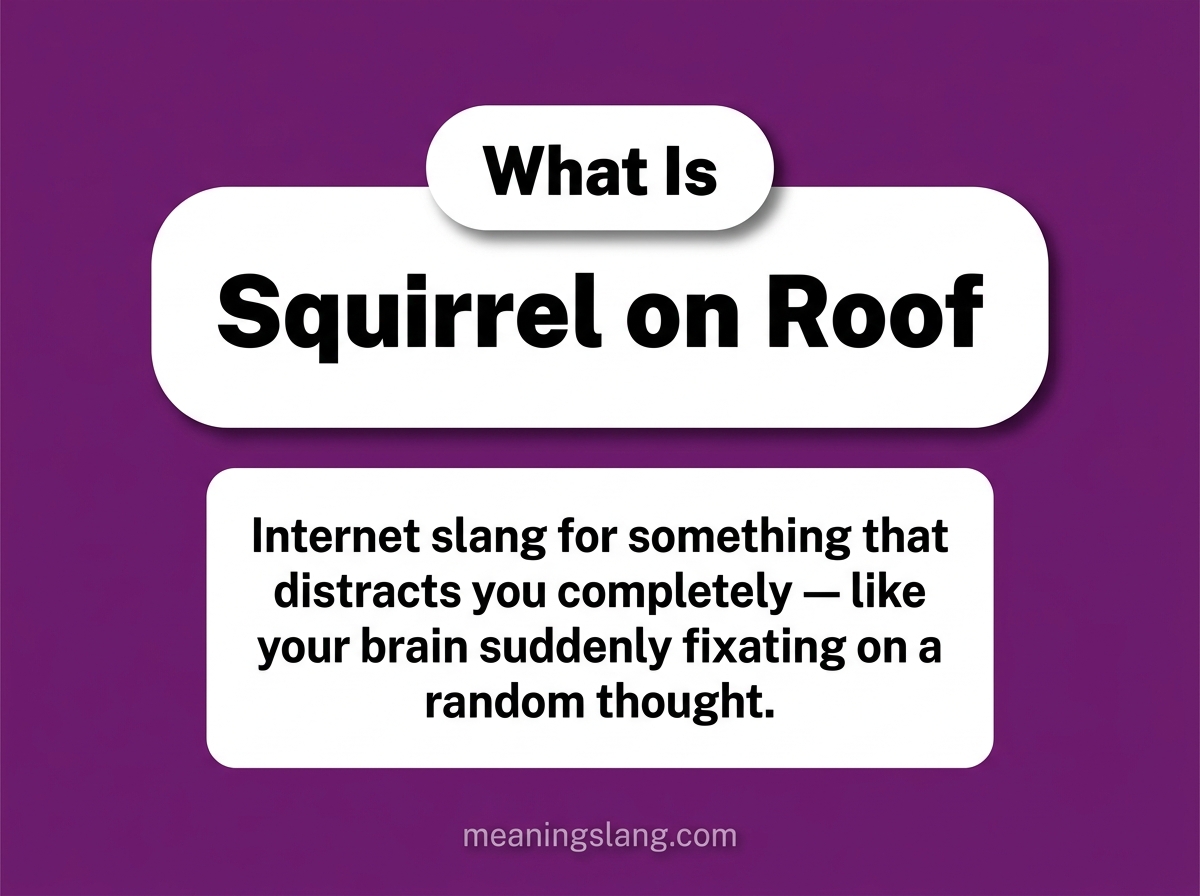 Squirrel on Roof Meaning