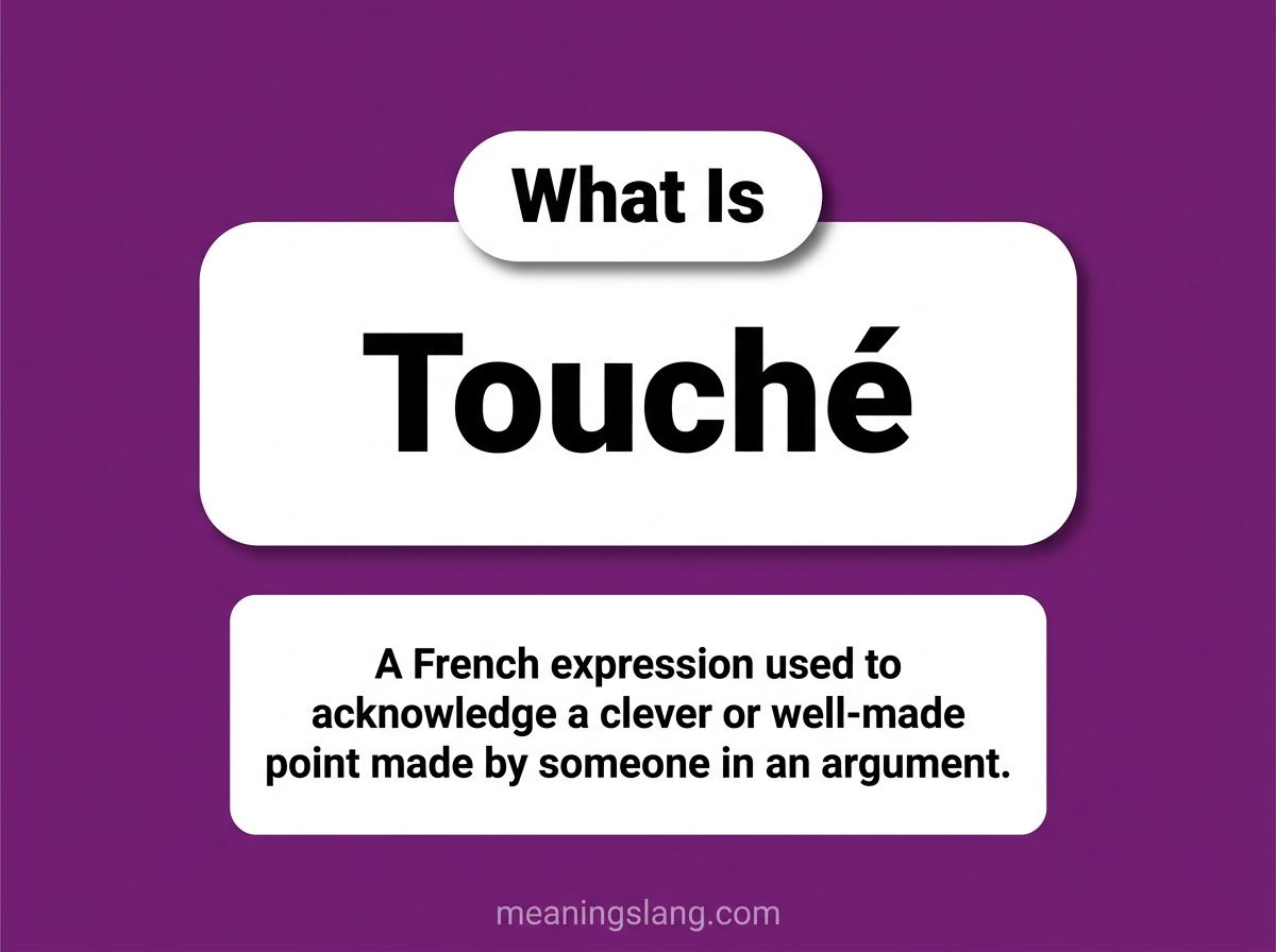 Touche Meaning