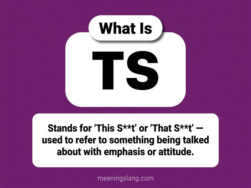 TS Meaning