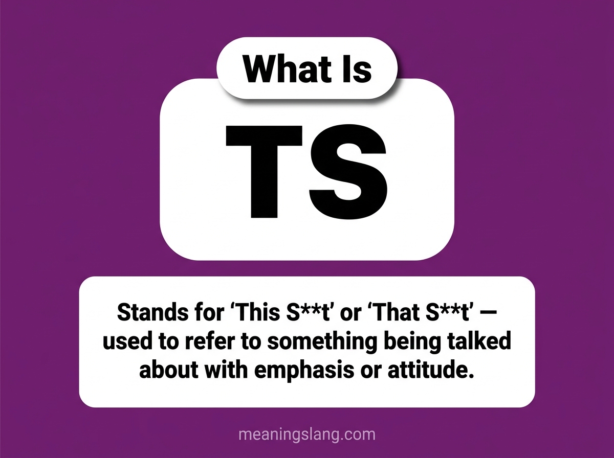TS Meaning