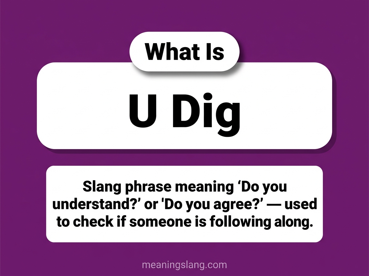 U Dig Meaning