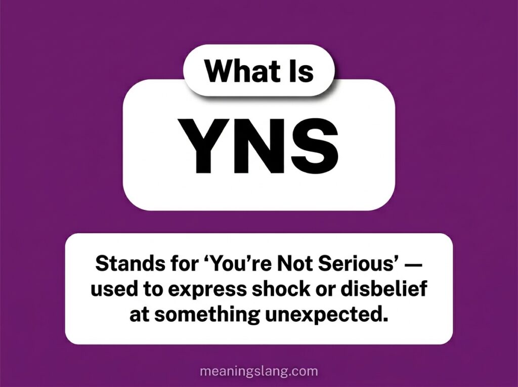 YNS Meaning