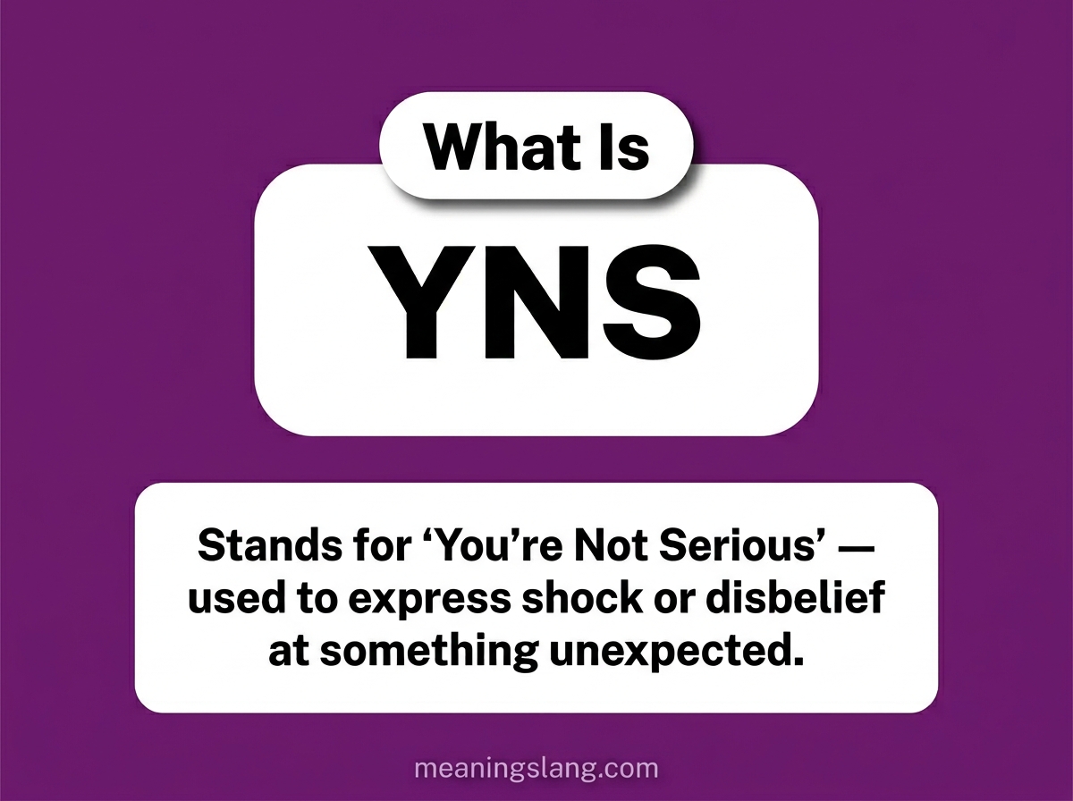 YNS Meaning