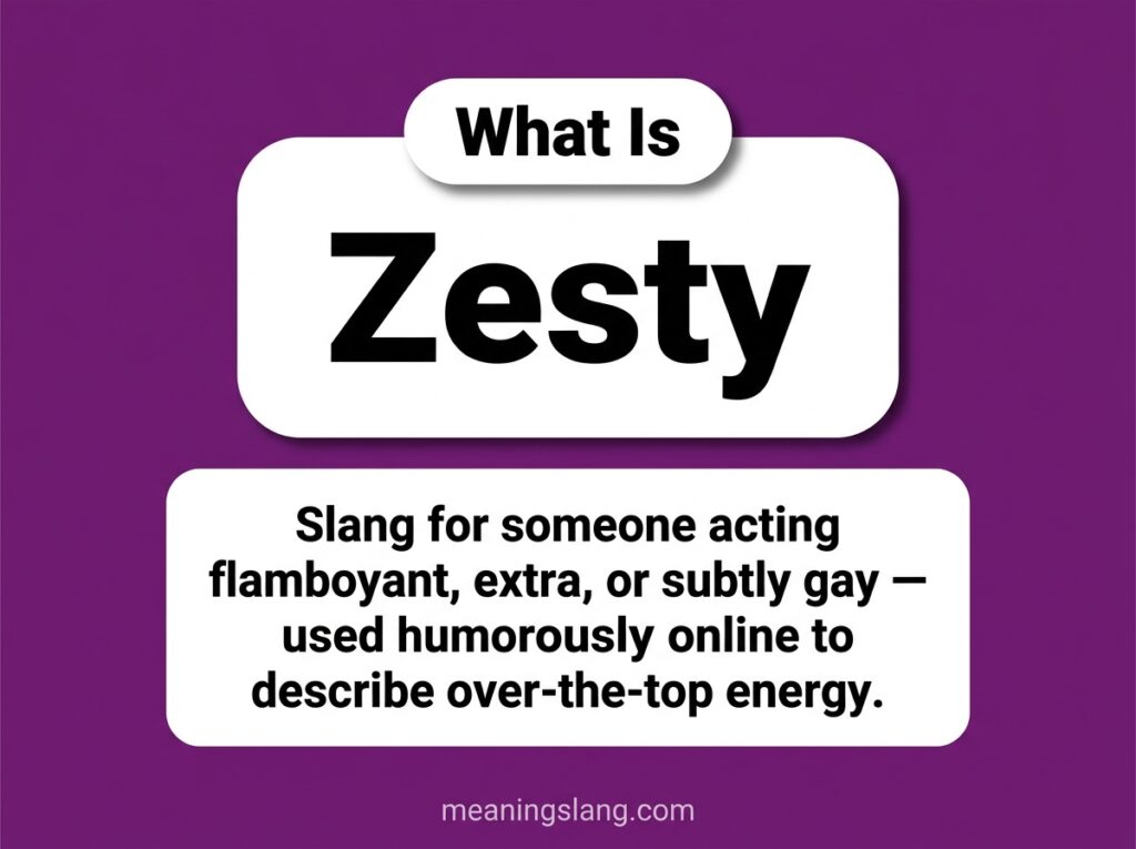 Zesty Meaning